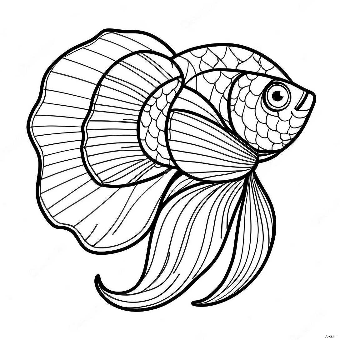 Colorful Betta Fish With Flowing Fins Coloring Page 71044 58723