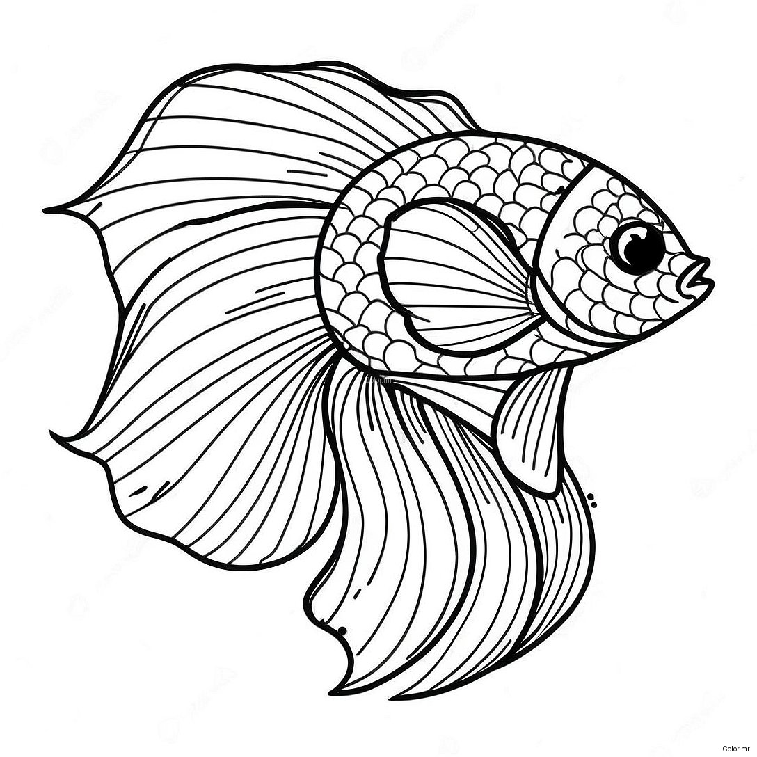 Colorful Betta Fish With Flowing Fins Coloring Page 71044 58724