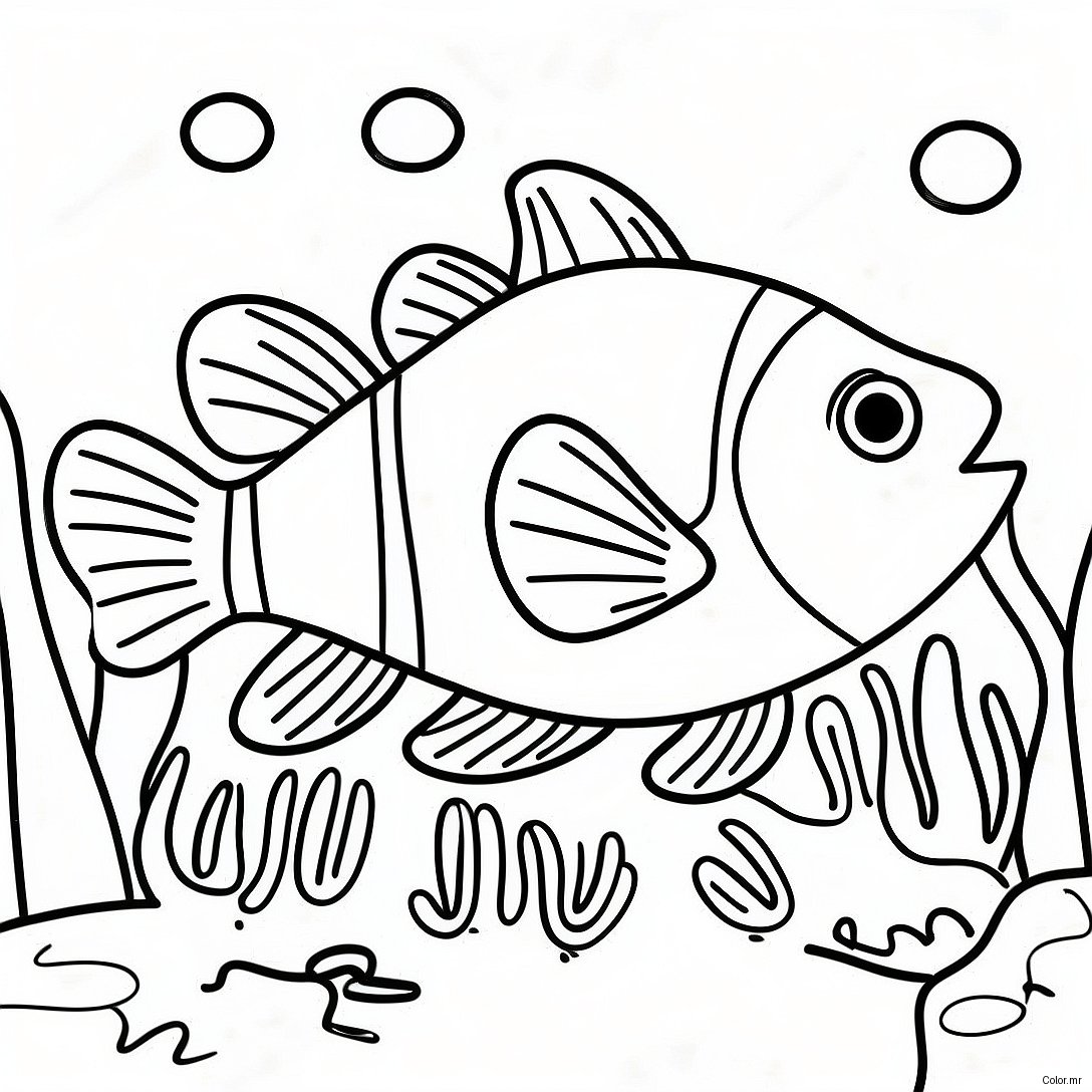 Colorful Clownfish Swimming In Coral Reef Coloring Page 54952 45729