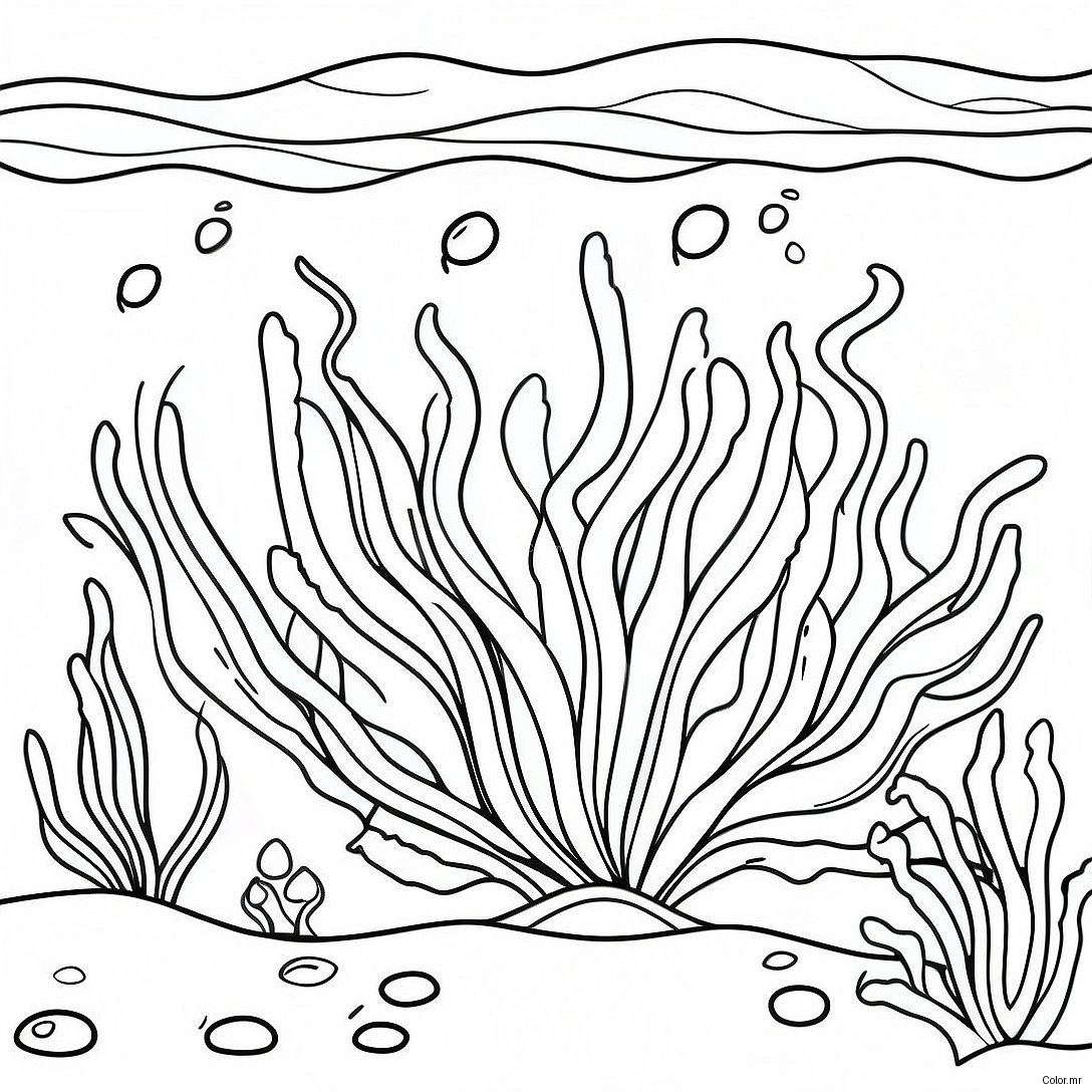 Colorful Seaweed Underwater Scene Coloring Page 24776 22713