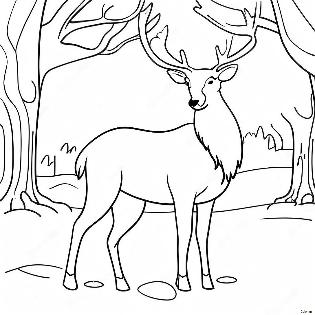 Elegant Reindeer In Winter Wonderland Coloring Page 49275 40934