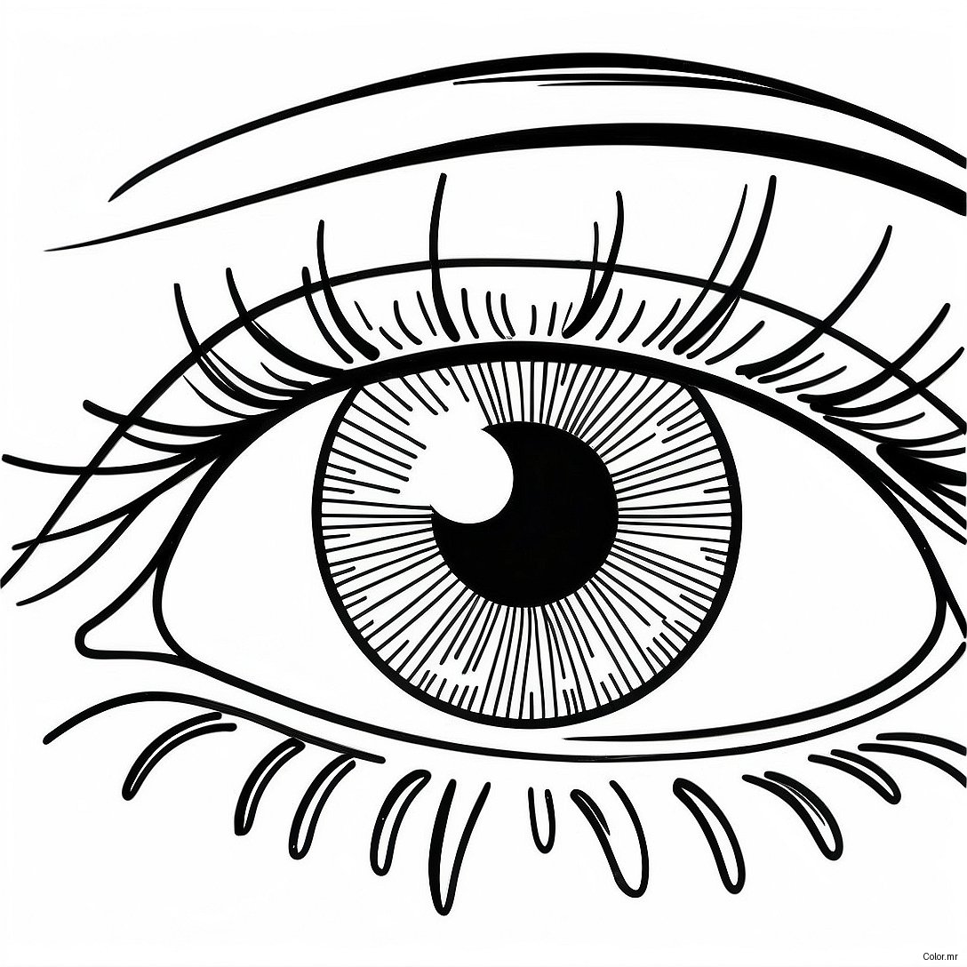 Pagina Para Colorir Close Up Realista De Olho 17435 14641