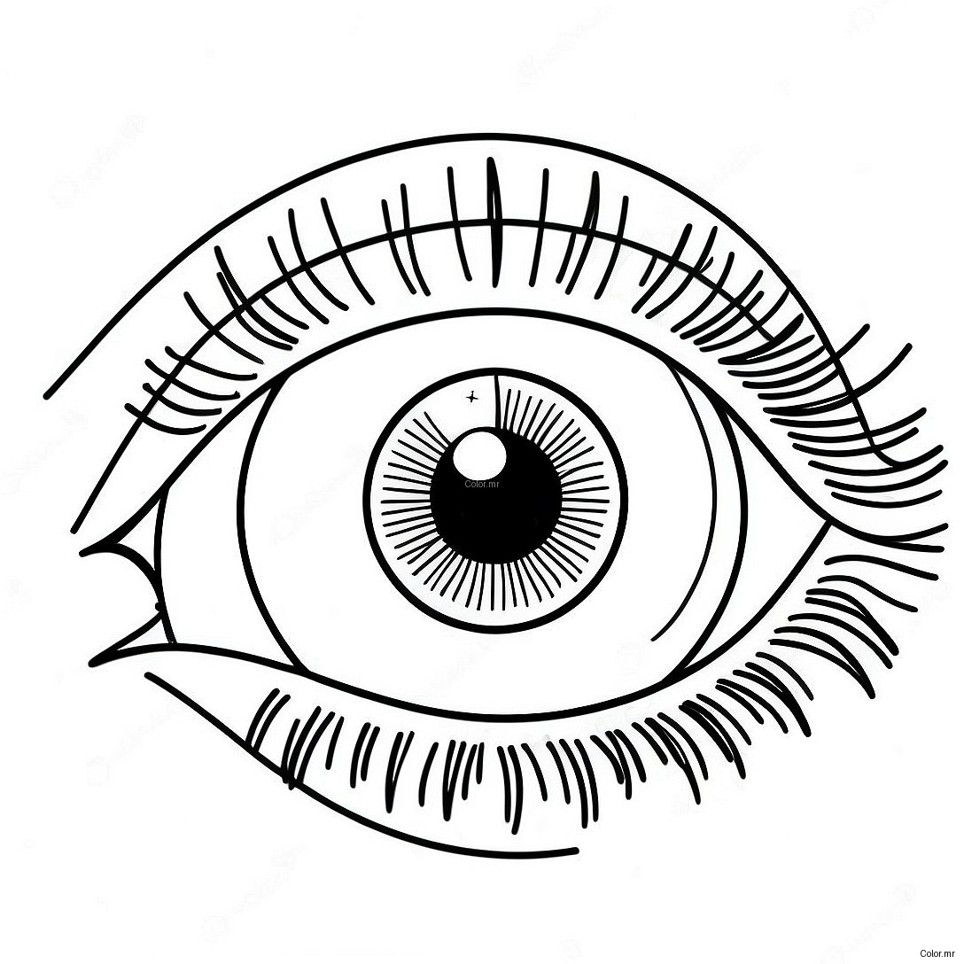 Pagina Para Colorir Close Up Realista De Olho 17435 14642
