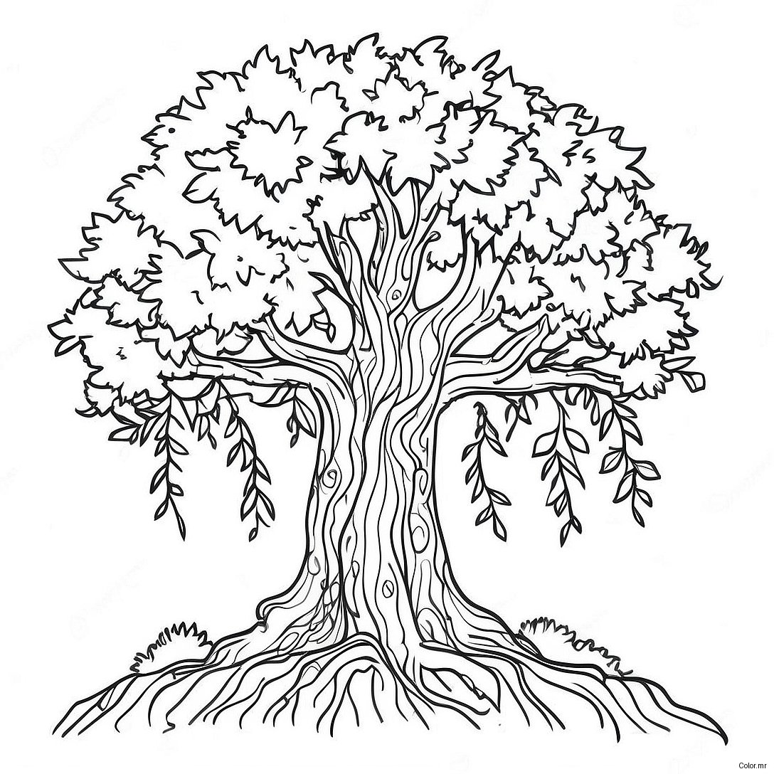 Pagina Para Colorir Da Arvore Realista 61966 51364