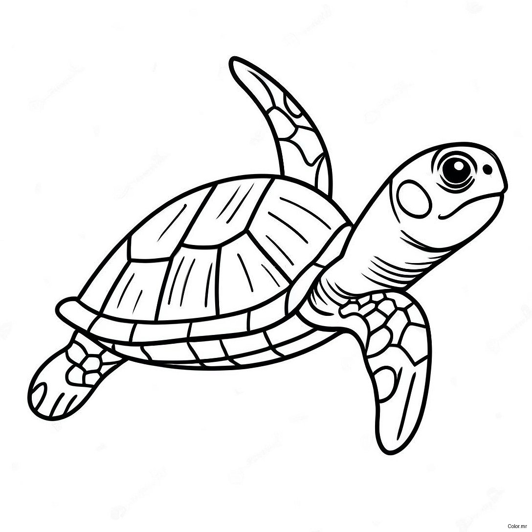 Pagina Para Colorir Da Tartaruga Marinha Realista Nadando 62858 52044