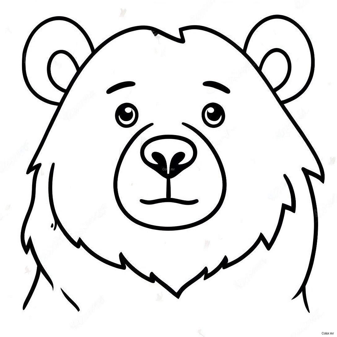 Pagina Para Colorir De Urso Realista 7114 5786