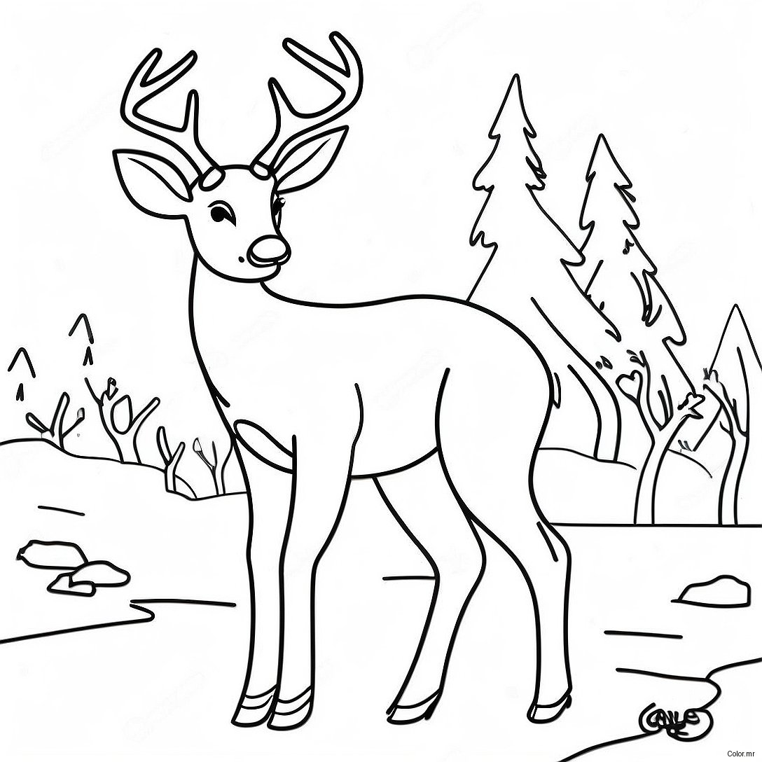 Pagina Para Colorir Do Veado Buck Realista 26722 24435