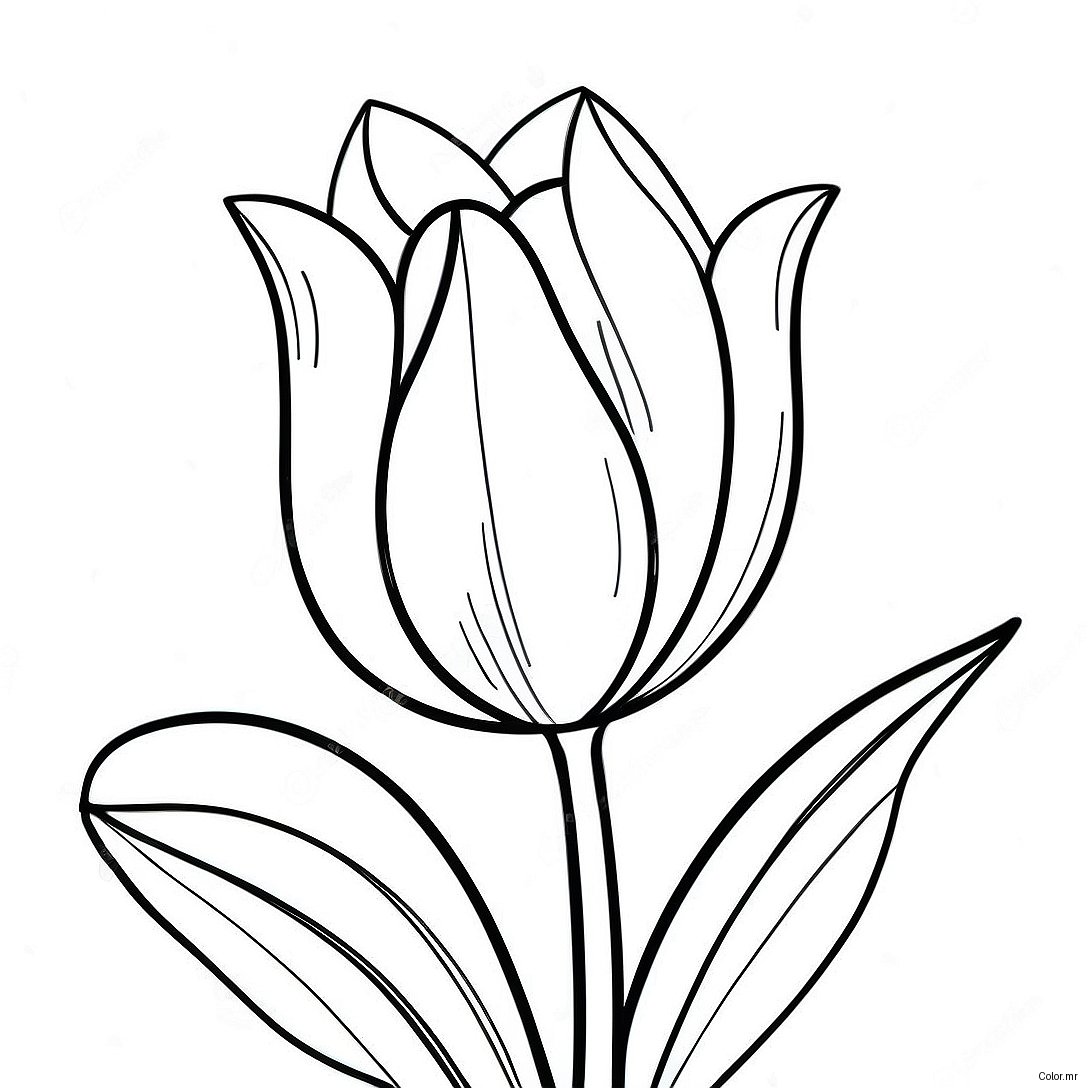 Pagina Para Colorir Flor Tulipa Realista 45943 38269