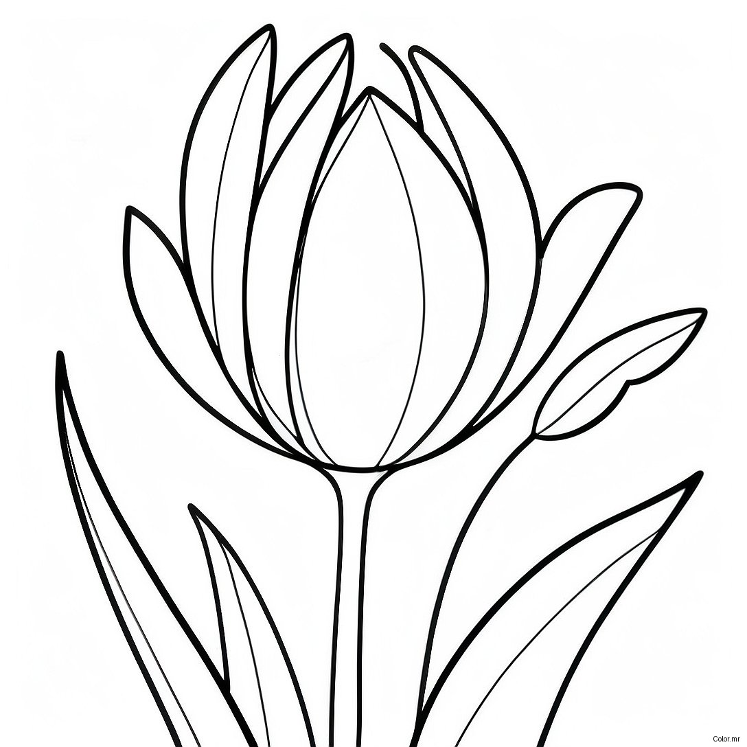 Pagina Para Colorir Flor Tulipa Realista 45943 38270