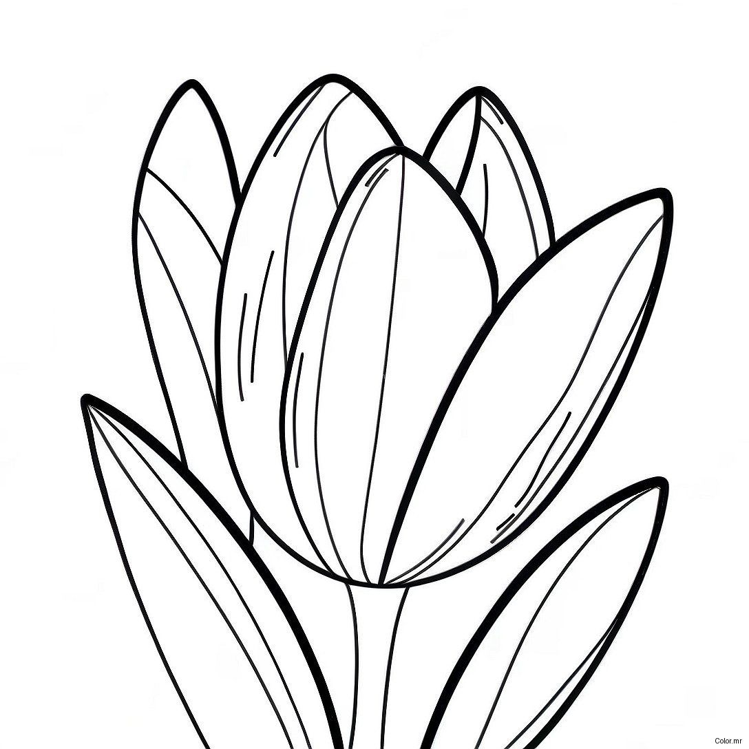 Pagina Para Colorir Flor Tulipa Realista 45943 38272