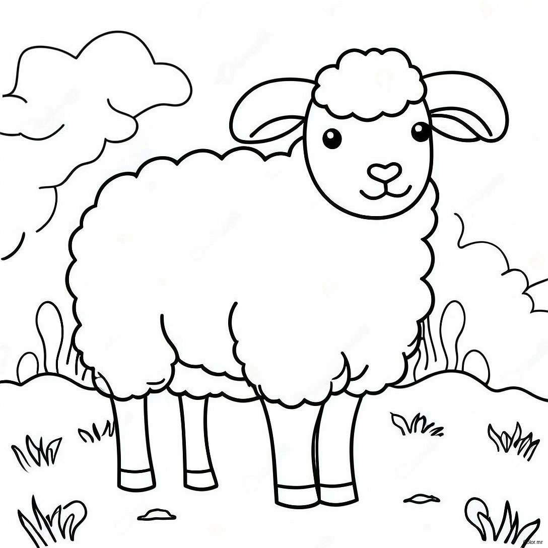 Pagina Para Colorir Ovelha Realista 59506 49408