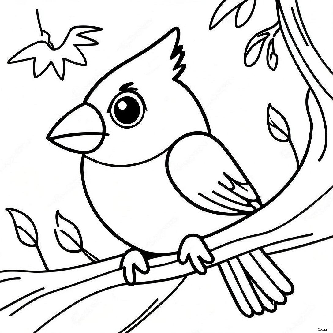 Pagina Para Colorir Passaro Cardeal Realista 61246 50783