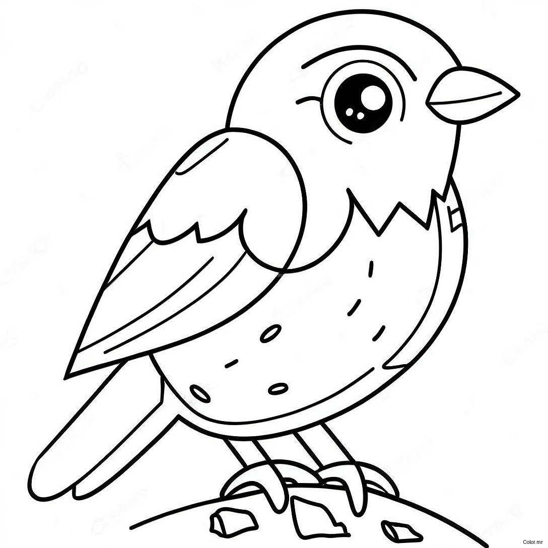 Pagina Para Colorir Passaro Realista 5583 4460