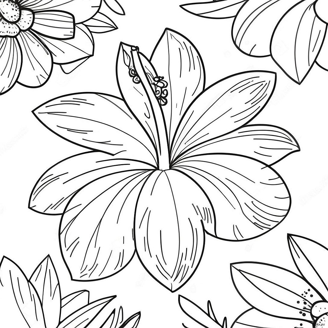 Pagina Para Colorir Realista De Flor Tropical 46283 38548