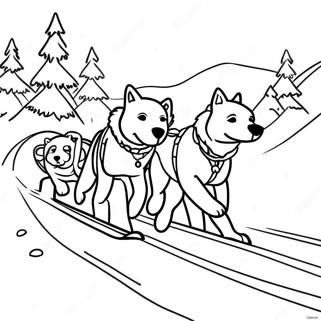Sled Dog Team Racing Downhill Coloring Page 60496 50192