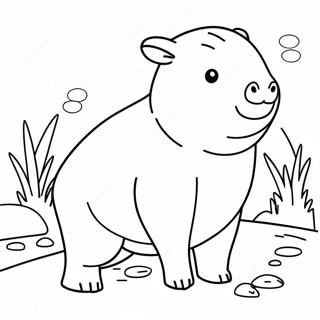 Capivara Páginas Para Colorir