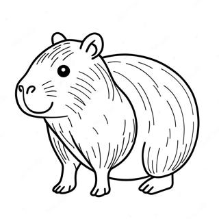 Pagina Para Colorir De Capivara 10016-8235