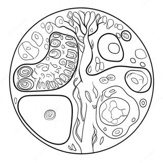 Pagina Para Colorir Diagrama De Celula Vegetal 10817-8866