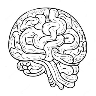 Pagina Para Colorir Folha De Cerebro 11717-9594