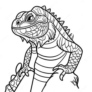 Pagina Para Colorir De Iguana 13608-11278