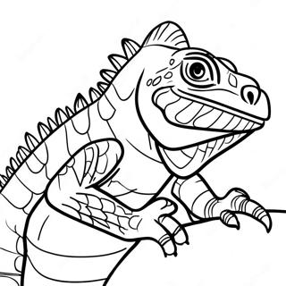 Pagina Para Colorir De Iguana 13608-11279