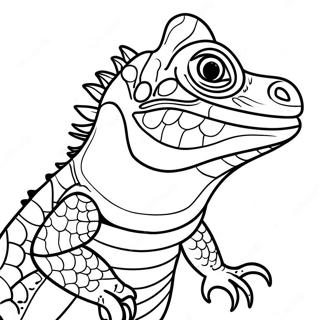 Pagina Para Colorir De Iguana 13608-11280