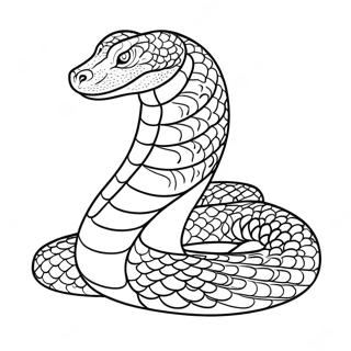 Pagina Para Colorir Anaconda 16331-13774