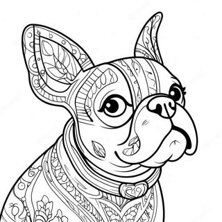 Boston Terrier Páginas Para Colorir