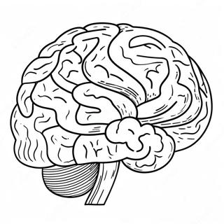 Pagina Para Colorir Do Cerebro Divertido Com Tdah 16713-14075