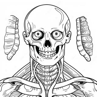 Pagina Para Colorir De Anatomia E Fisiologia 17173-14438