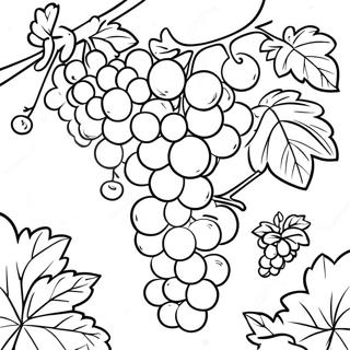 Pagina Para Colorir De Uvas Suculentas Em Um Vinhedo 17325-14556