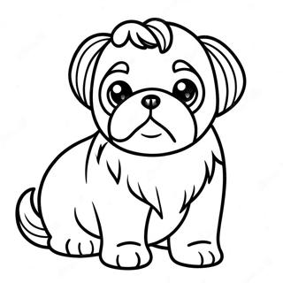 Pagina Para Colorir Filhote De Shih Tzu 19318-16142