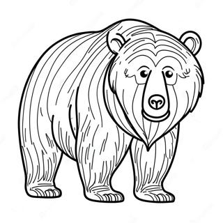 Urso Grizzly Pagina Para Colorir 22223-20523