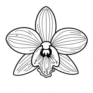 Pagina Para Colorir De Flor De Orquidea Bonita 22434-20696