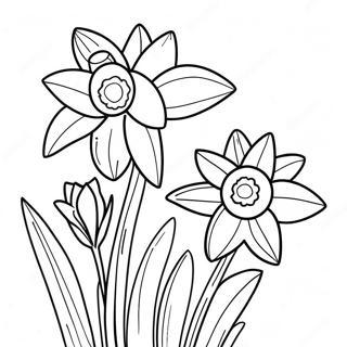 Pagina Para Colorir De Narciso 22473-20722