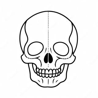 Pagina Para Colorir Diagrama De Cranio Em Branco 23153-21258