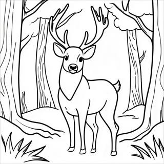 Pagina Para Colorir Do Majestoso Veado Buck Na Floresta 26723-24437