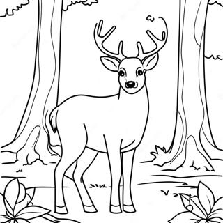 Pagina Para Colorir Do Majestoso Veado Buck Na Floresta 26723-24438