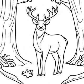 Pagina Para Colorir Do Majestoso Veado Buck Na Floresta 26723-24440