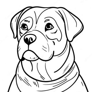 Pagina Para Colorir Do Rottweiler 30948-27750