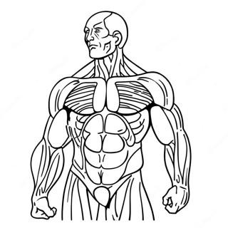 Pagina Para Colorir Da Anatomia Dos Musculos Humanos 31368-28086