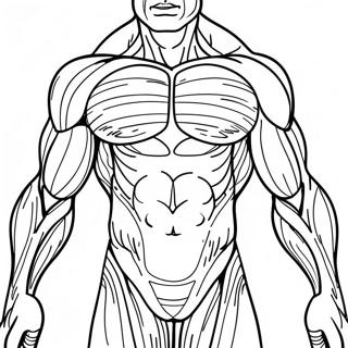 Pagina Para Colorir Da Anatomia Dos Musculos Humanos 31368-28087