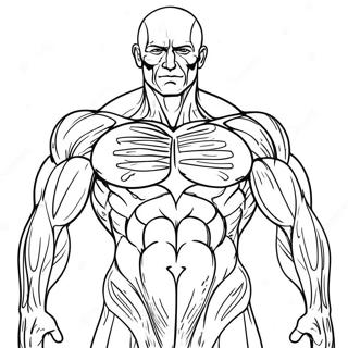 Pagina Para Colorir Da Anatomia Dos Musculos Humanos 31368-28088