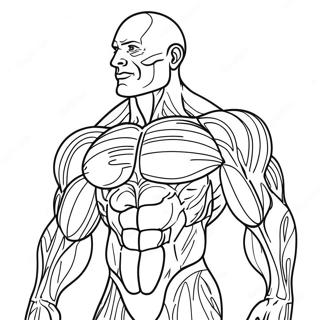 Pagina Para Colorir De Musculos Humanos Detalhados 31369-28090