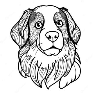 Pagina Para Colorir Do Bernese Mountain Dog 35563-29581