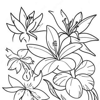 Pagina Para Colorir Flores Tropicais 36594-30507
