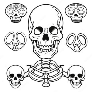 Pagina Para Colorir Da Anatomia Do Esqueleto Humano 37506-31220