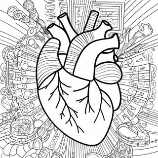 Anatomia Do Coração Páginas Para Colorir