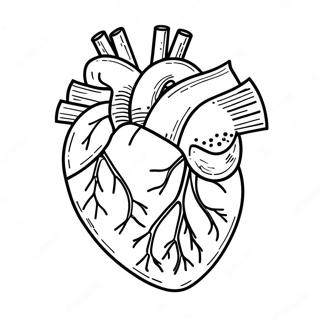 Pagina Para Colorir Da Anatomia Do Coracao 3950-3195