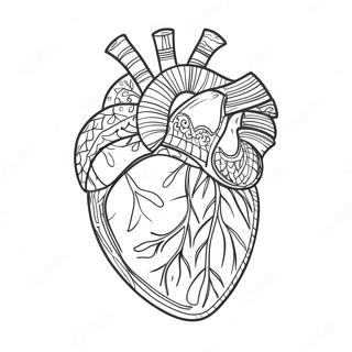 Pagina Para Colorir Anatomia Detalhada Do Coracao 3951-3198